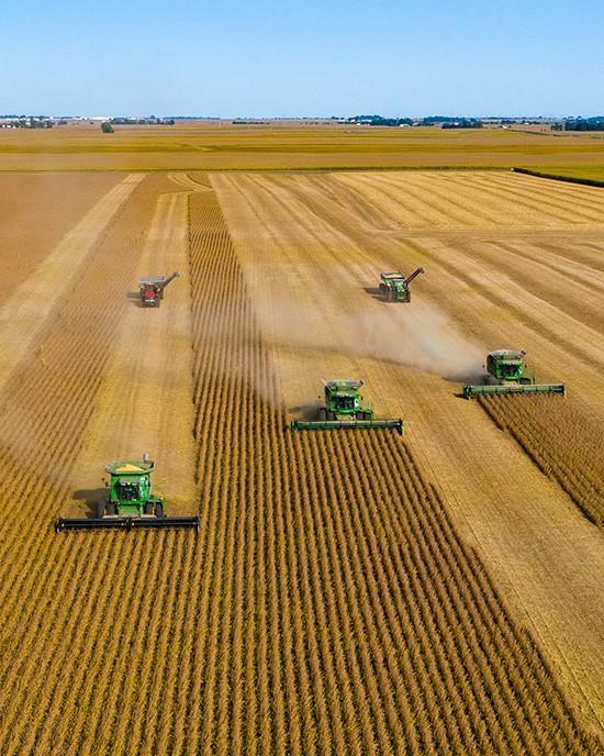 Plantação agrícola